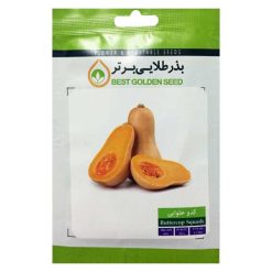 بذر کدو حلوایی بذر طلایی برتر کد BZT-69