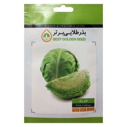 بذر کلم برگ بذر طلایی برتر کد BZT-73