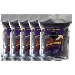 خاک بنفشه آفریقایی رویش مدل KHBA-02 کد Pack-21 بسته 5 عددی