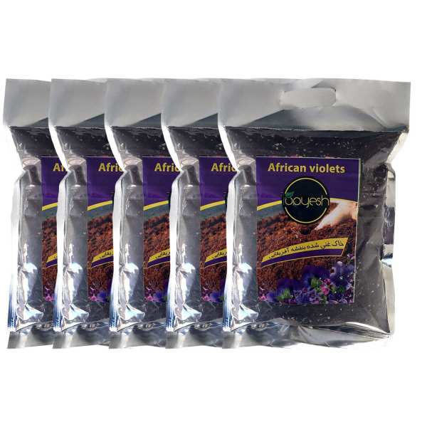 خاک بنفشه آفریقایی رویش مدل KHBA-02 کد Pack-21 بسته 5 عددی خاک بنفشه آفریقایی رویش مدل KHBA-02 کد Pack-21 بسته 5 عددی