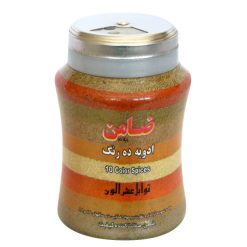 ادویه ده رنگ ضامن – 100 گرم