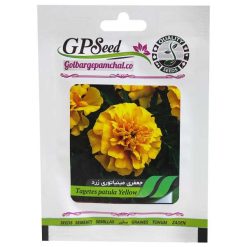 بذر گل جعفری مینیاتوری زرد گلبرگ پامچال کد GPF-041