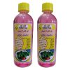بذر گل حسن یوسف رز سانیا سید مدل Rose