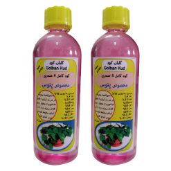 کود مایع پتوس گلبان کود مدل Fast growth حجم 100 میلی لیتر بسته دو عددی
