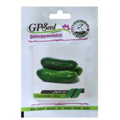 بذر خیار اصفهانی گلبرگ پامچال کد GPF-222