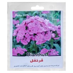 بذر گل قرنفل بنفش گرین فارم کد GRG 2