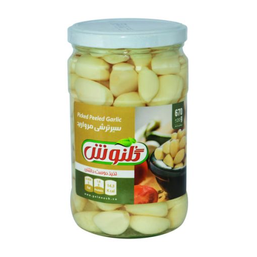 ترشی سیر مروارید گلنوش – 670 گرم