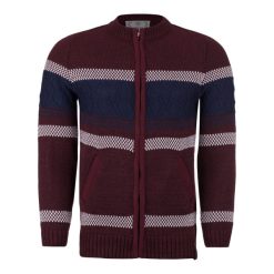 ژاکت مردانه رایکا کد 2166Rd-04