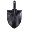 پرلیت دانه درشت بنفشه افریقایی هستی بسته چهار عددی 500گرمی