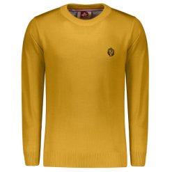 پلیور مردانه پاییزان مدل PR700 رنگ خردلی