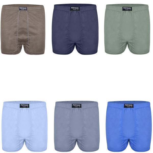 شورت مردانه کد PA100 مجموعه 6 عددی شورت مردانه کد PA100 مجموعه 6 عددی