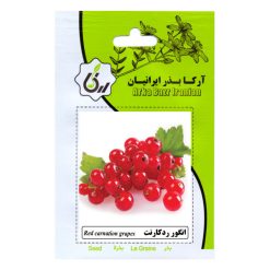 بذر انگور رد کارنت آرکا بذر ایرانیان کد ARK-116
