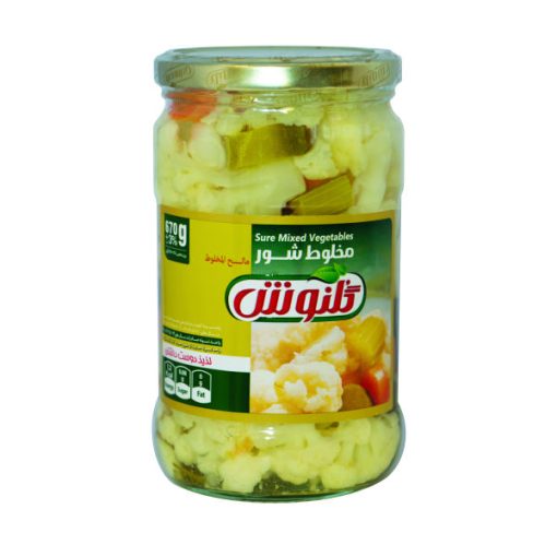 شور مخلوط گلنوش – 670 گرم