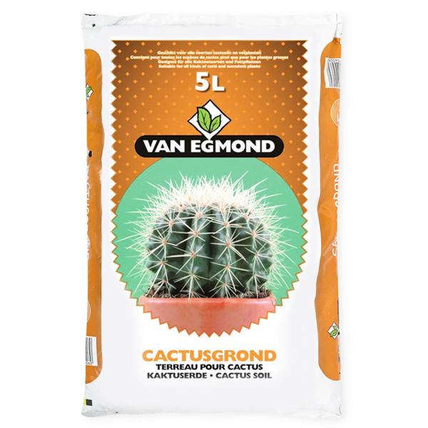 خاک پیت ماس ون اگموند مدل CACTUSGROND حجم 5 لیتر خاک پیت ماس ون اگموند مدل CACTUSGROND حجم 5 لیتر