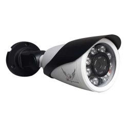 دوربین مداربسته تحت شبکه رایمون مدل RB987 IP GC 2MP