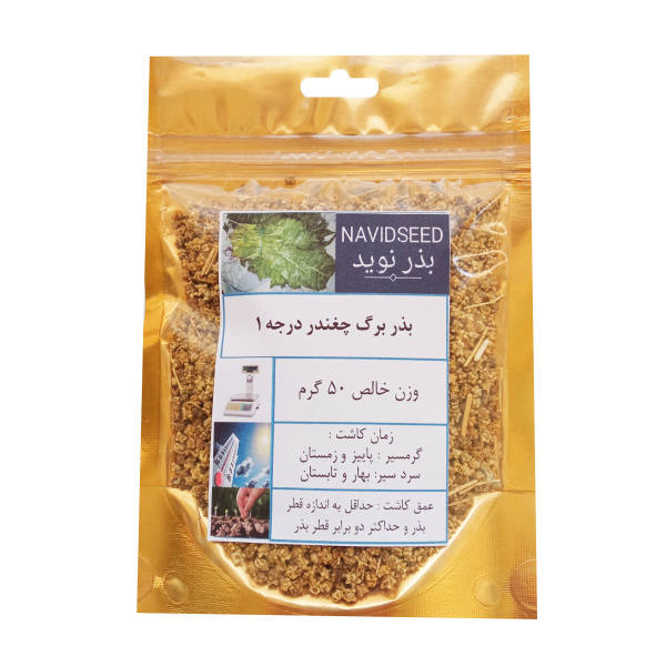 بذر برگ چغندر بذر نوید مدل 1 وزن 50 گرم بذر برگ چغندر بذر نوید مدل 1 وزن 50 گرم