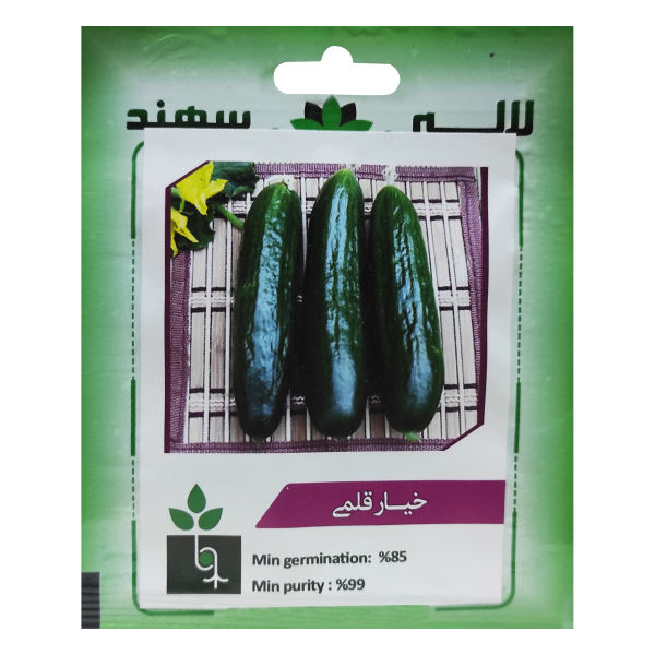 بذر خیار قلمی لاله سهند کد LSP-003 بذر خیار قلمی لاله سهند کد LSP-003
