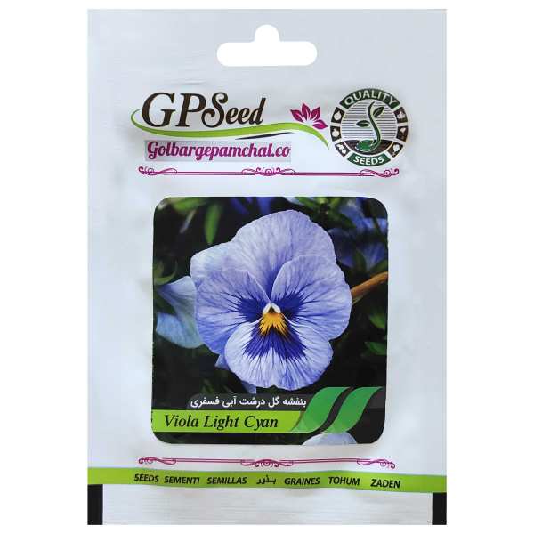 بذر گل بنفشه گل درشت آبی فسفری گلبرگ پامچال کد GPF-237 بذر گل بنفشه گل درشت آبی فسفری گلبرگ پامچال کد GPF-237