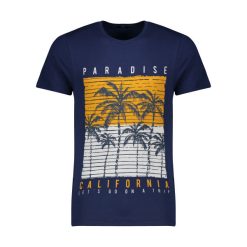 تیشرت مردانه آر اِن اِس مدل 12021014-59