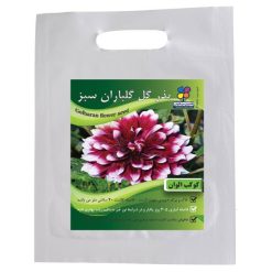 بذرگل کوکب الوان گلباران سبز