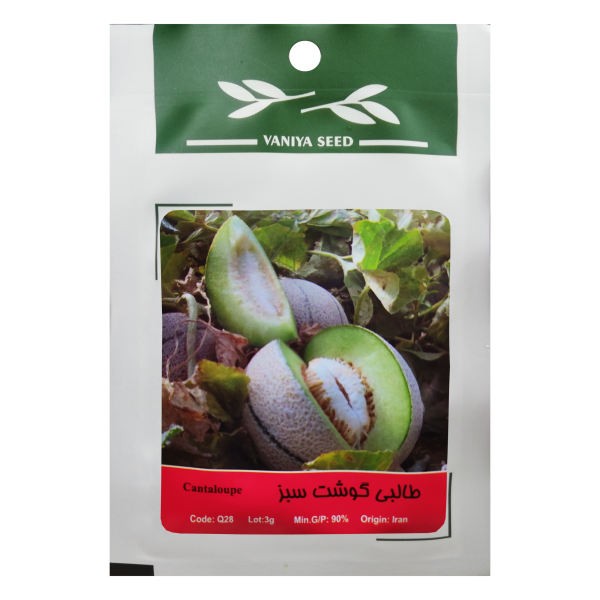 بذر طالبی گوشت سبز وانیا سید مدل Q28 بذر طالبی گوشت سبز وانیا سید مدل Q28