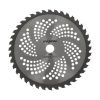 گیاه طبیعی کاکتوس فرولاتیس پینوس مدل PN-15