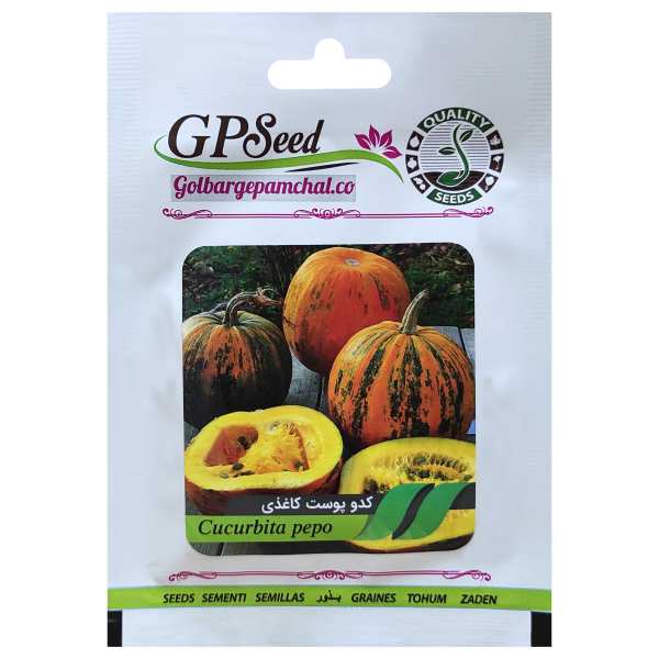 بذر کدو پوست کاغذی گلبرگ پامچال کد GPF-225 بذر کدو پوست کاغذی گلبرگ پامچال کد GPF-225