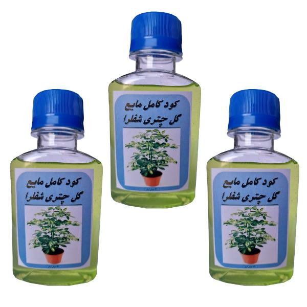 کود کامل مایع مخصوص گیاه چتری شفلرا مدل GL2 حجم 360 بسته سه عددی کود کامل مایع مخصوص گیاه چتری شفلرا مدل GL2 حجم 360 بسته سه عددی
