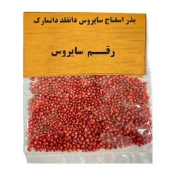 بذر اسفناج سایروس مدل دانفلد دانمارک وزن 10 گرم