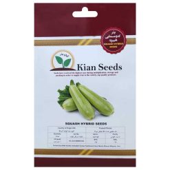 بذر کدو مسمایی هیبرید کیان بذر کد KBZ-34