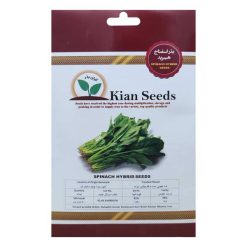 بذر اسفناج هیبرید کیان بذر کد KBZ-01