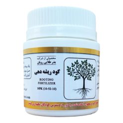 کود پودری ریشه دهی بذر طلایی رویان کد KBZR-03 وزن 50 گرمی