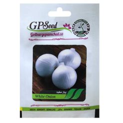 بذر پیاز سفید گلبرگ پامچال کد GPF-221