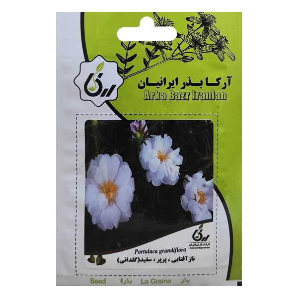 بذر ناز آفتابی پرپر سفید گلدانی آرکا بذر ایرانیان کد ARK-024 بذر ناز آفتابی پرپر سفید گلدانی آرکا بذر ایرانیان کد ARK-024