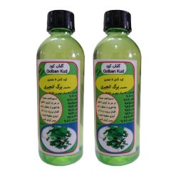 کود مایع برگ انجیری گلبان کود مدل Fast growth حجم 100 میلی لیتر بسته دو عددی
