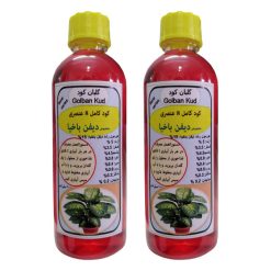 کود مایع دیفن باخیا گلبان کود مدل Fast growth حجم 100 میلی لیتر بسته دو عددی