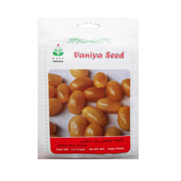 بذر گوجه زیتونی زرد درختی آذر سبزینه مدل G58 بذر گوجه زیتونی زرد درختی آذر سبزینه مدل G58