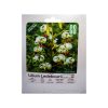 قیچی باغبانی فیدار مدل P-168A قیچی باغبانی فیدار مدل P-168A