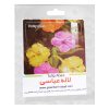 گلدان ایکیا مدل SOCKER