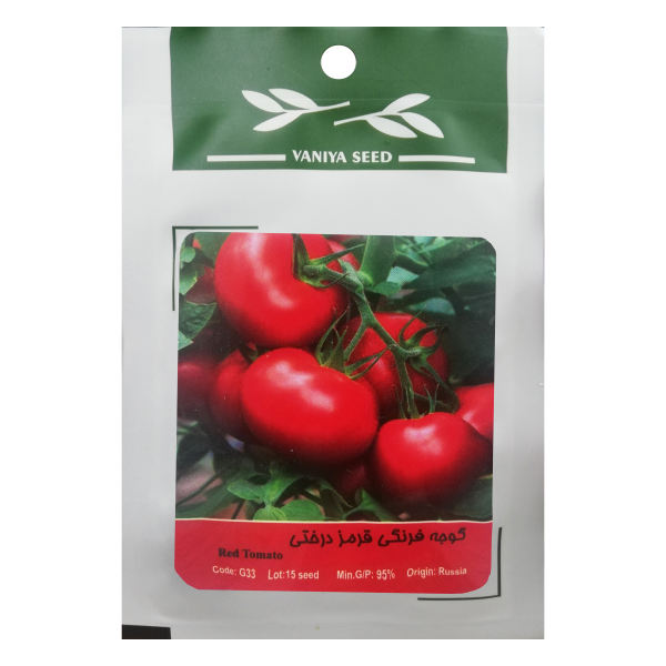 بذر گوجه فرنگی قرمز درختی وانیا سید مدل G33 بذر گوجه فرنگی قرمز درختی وانیا سید مدل G33