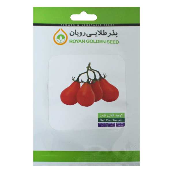 بذر گوجه گلابی قرمز بذر طلایی رویان مدل BZTR-081 بذر گوجه گلابی قرمز بذر طلایی رویان مدل BZTR-081