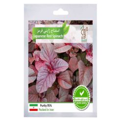 بذر اسفناج ژاپنی قرمز رویش مدل 4 Sds