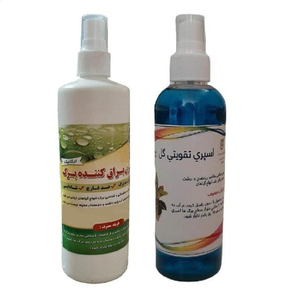 اسپری براق کننده و اسپری تقویت کننده گل سبز دارو مدل NPK202020 حجم 250 میلی لیتر بسته 2 عددی اسپری براق کننده و اسپری تقویت کننده گل سبز دارو مدل NPK202020 حجم 250 میلی لیتر بسته 2 عددی