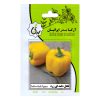 بذر گل مارگریت بذر طلایی رویان کد BZTR-032