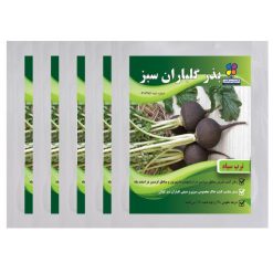 بذر ترب سیاه گلباران سبز بسته 5 عددی