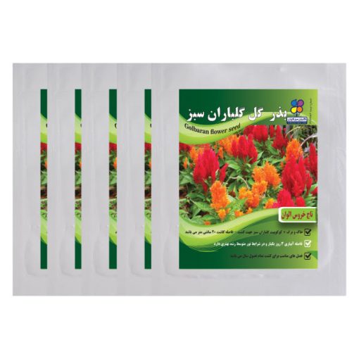 بذر گل تاج خروس الوان گلباران سبز بسته 5 عددی