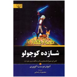 کتاب شازده کوچولو اثر آنتوان دو سنت اگزوپری نشر آثار برات