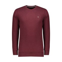 سویشرت مردانه باینت کد 602-3