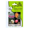 بذر ژیمینو کالیوم کاکتوس میکس آرکا بذر ایرانیان کد 112-ARK بذر ژیمینو کالیوم کاکتوس میکس آرکا بذر ایرانیان کد 112-ARK