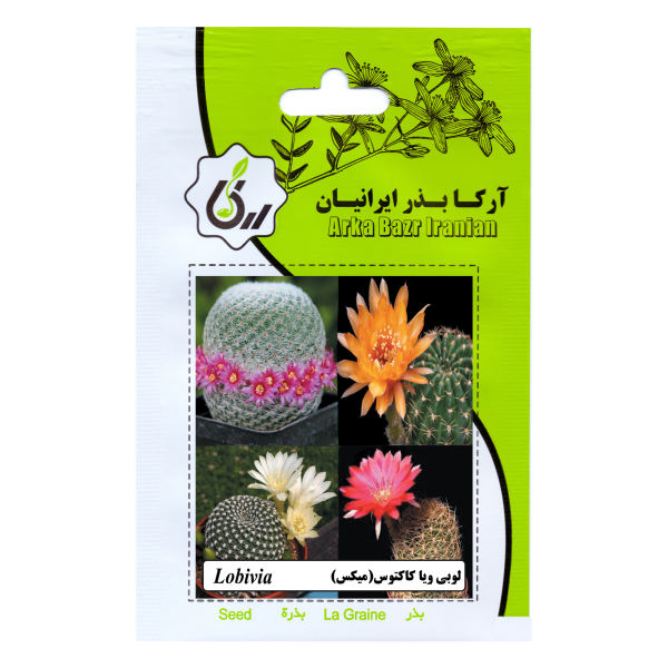 بذر لوبی ویا کاکتوس میکس آرکا بذر ایرانیان کد 120-ARK بذر لوبی ویا کاکتوس میکس آرکا بذر ایرانیان کد 120-ARK